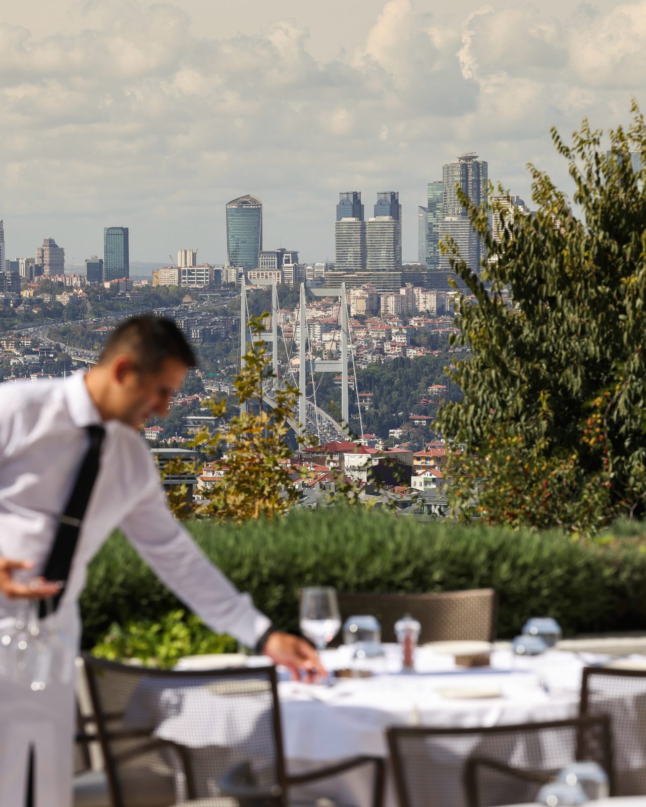 Arbor Ristorante Italiano, art directed visual