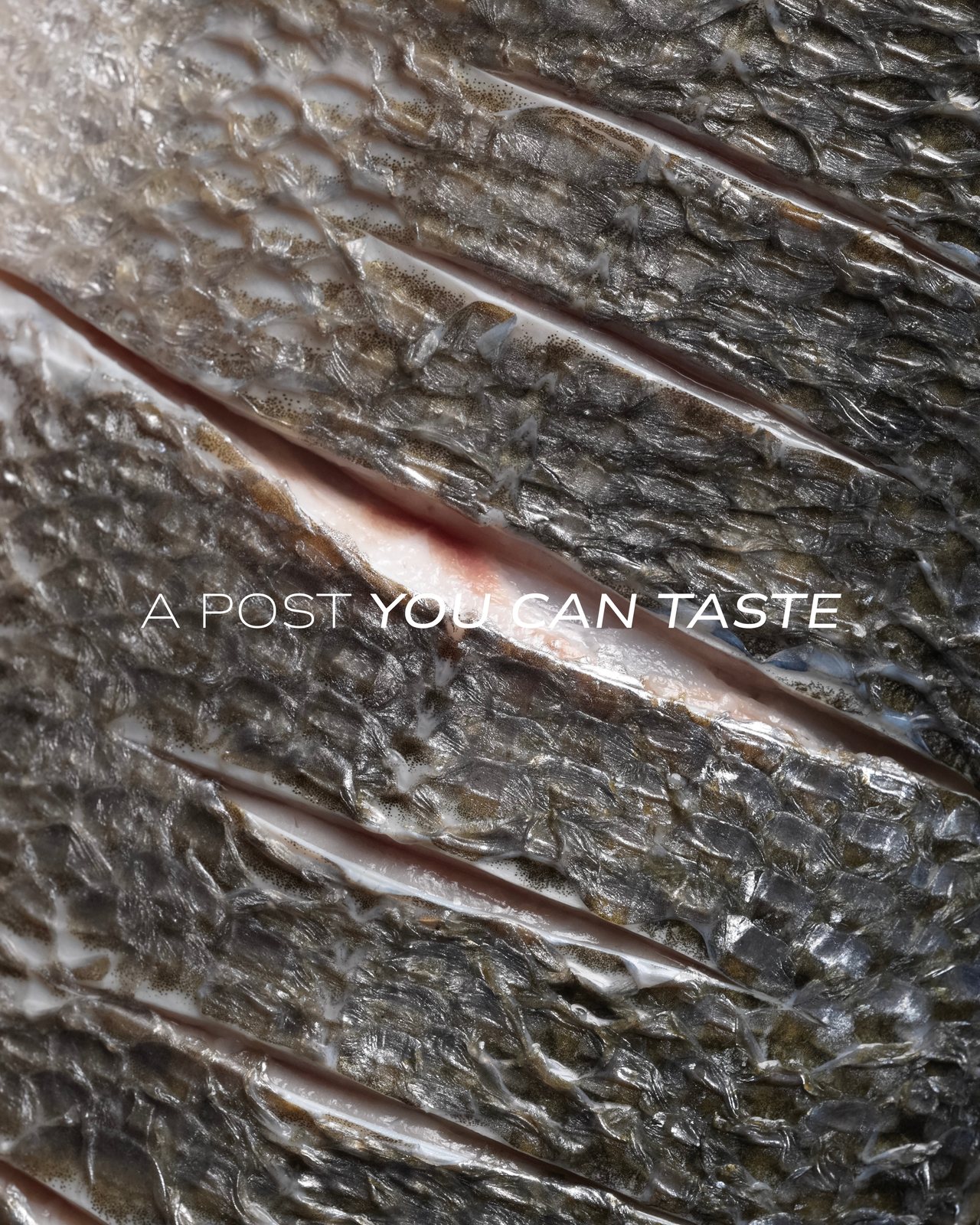 Arbor Ristorante Italiano, food & drink visual 2