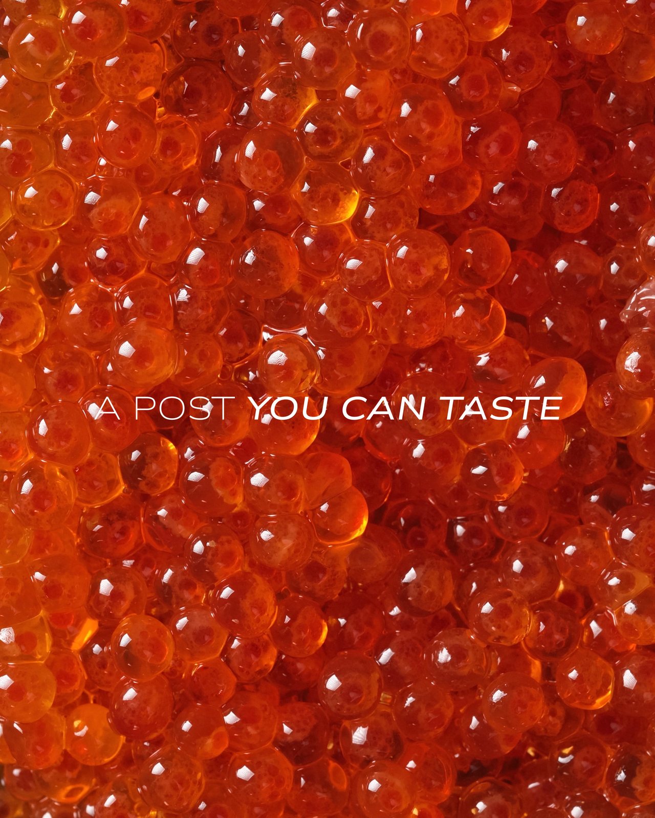 Arbor Ristorante Italiano, food & drink visual 3