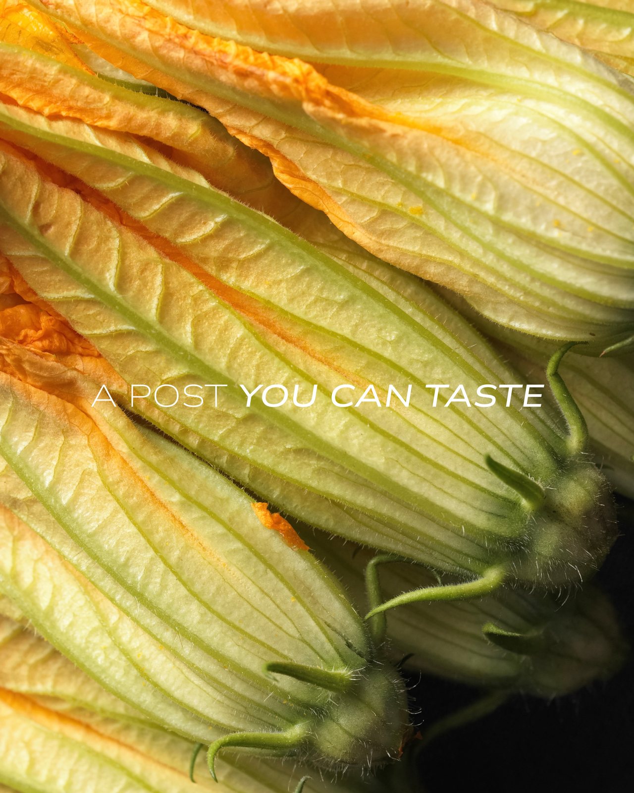 Arbor Ristorante Italiano, food & drink visual 4