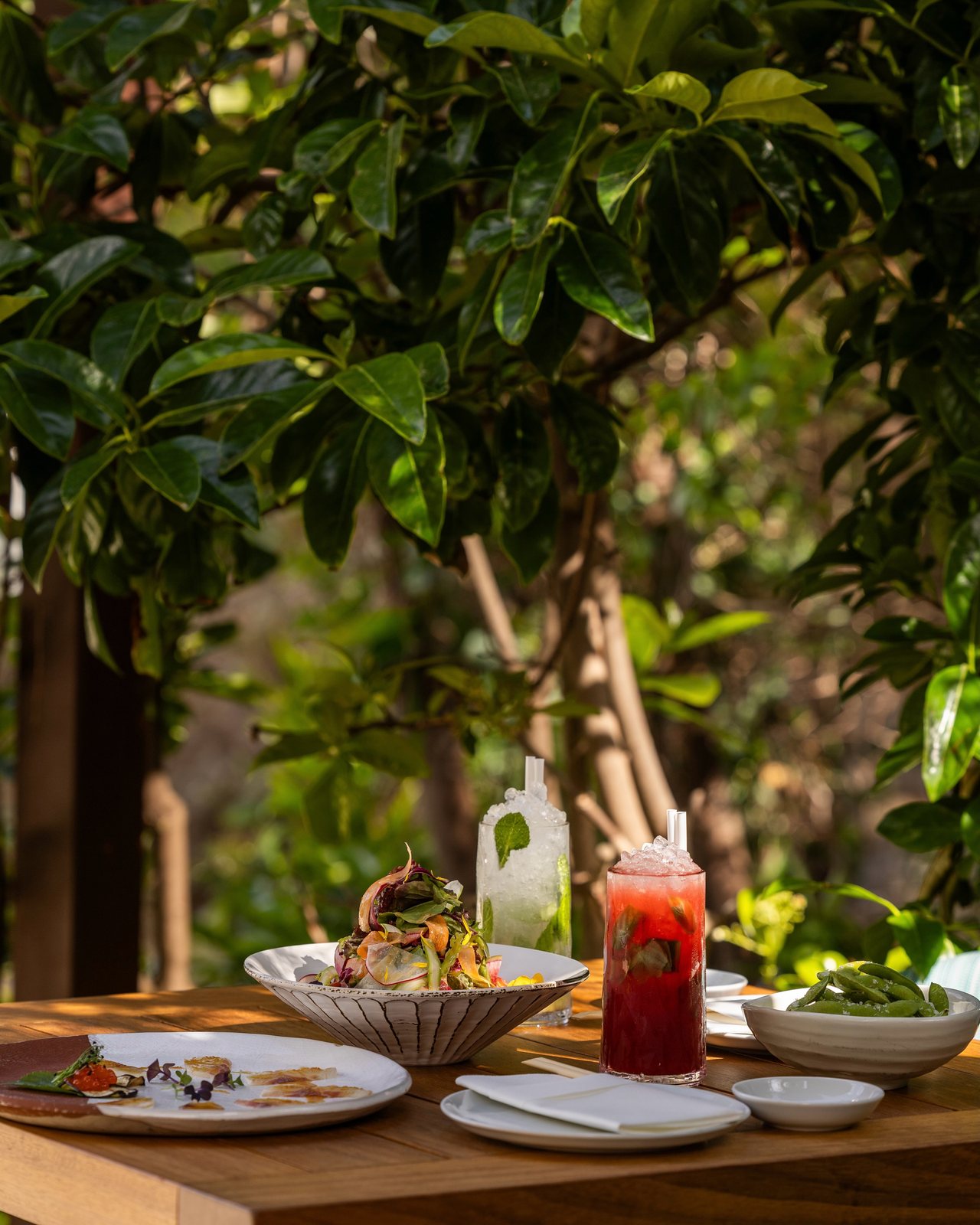 D Maris Bay, hospitality visual by Studio 56