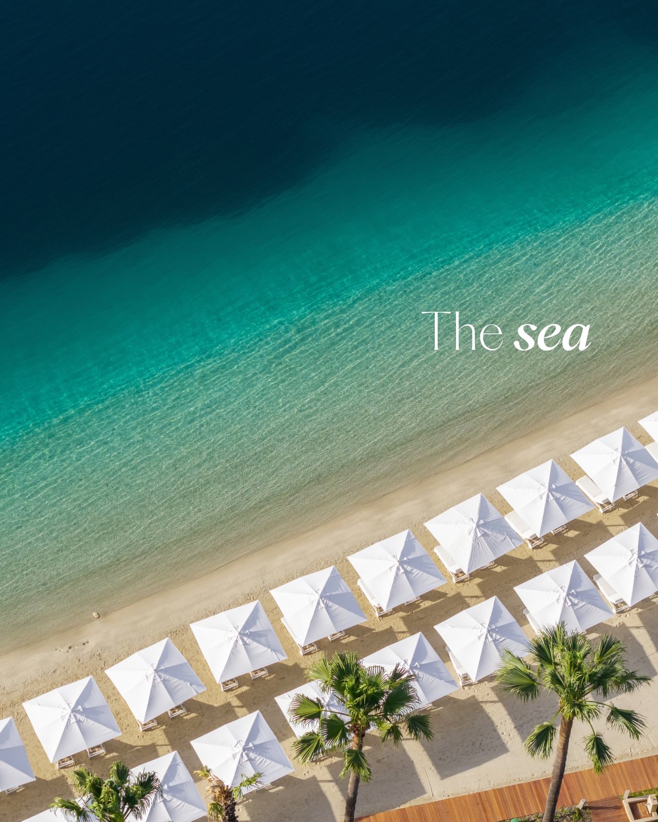 D Maris Bay, hospitality visual 2