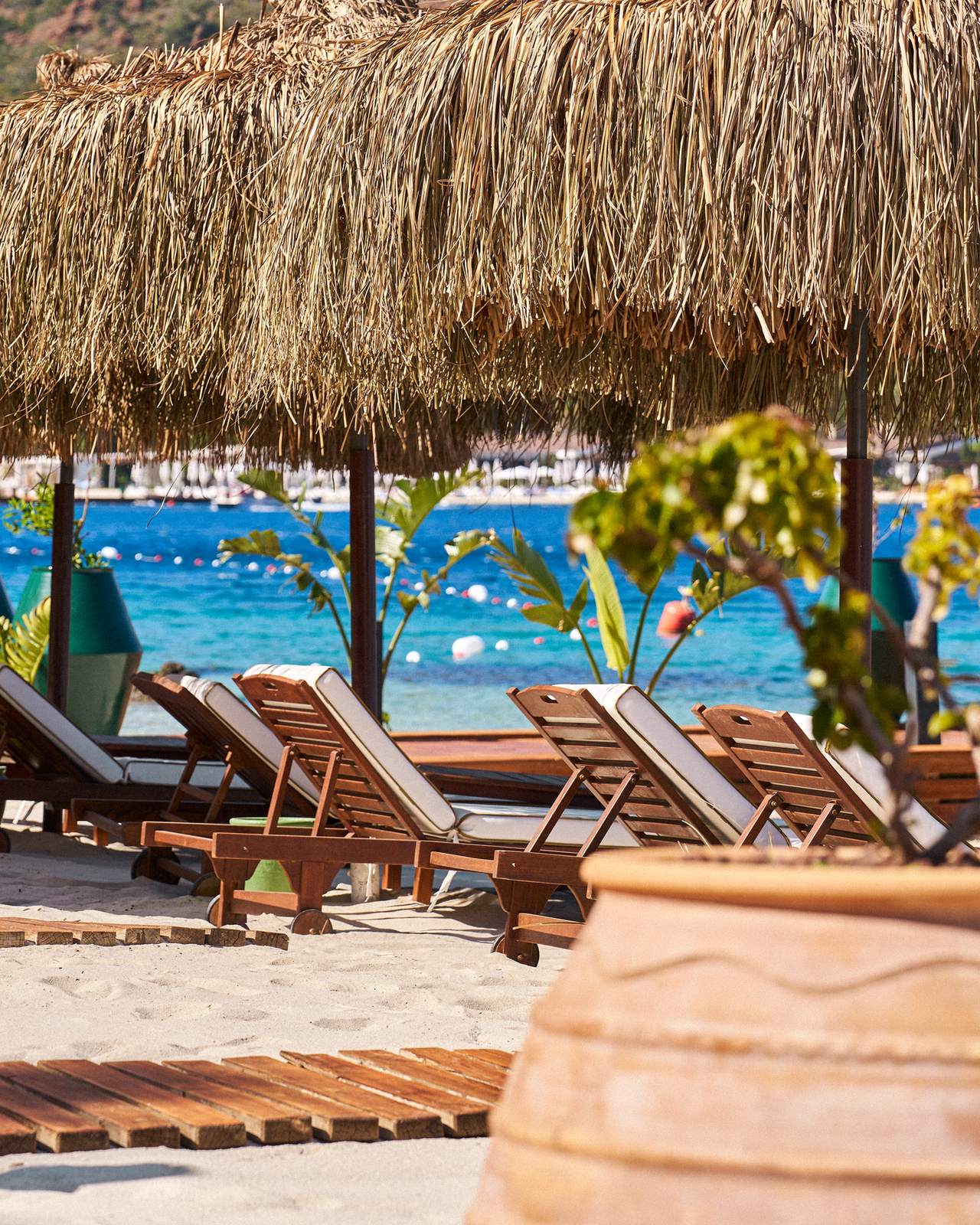 Manos at D Maris Bay, 4