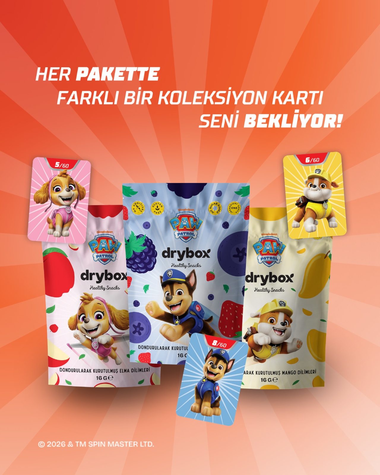 Drybox, art directed visual