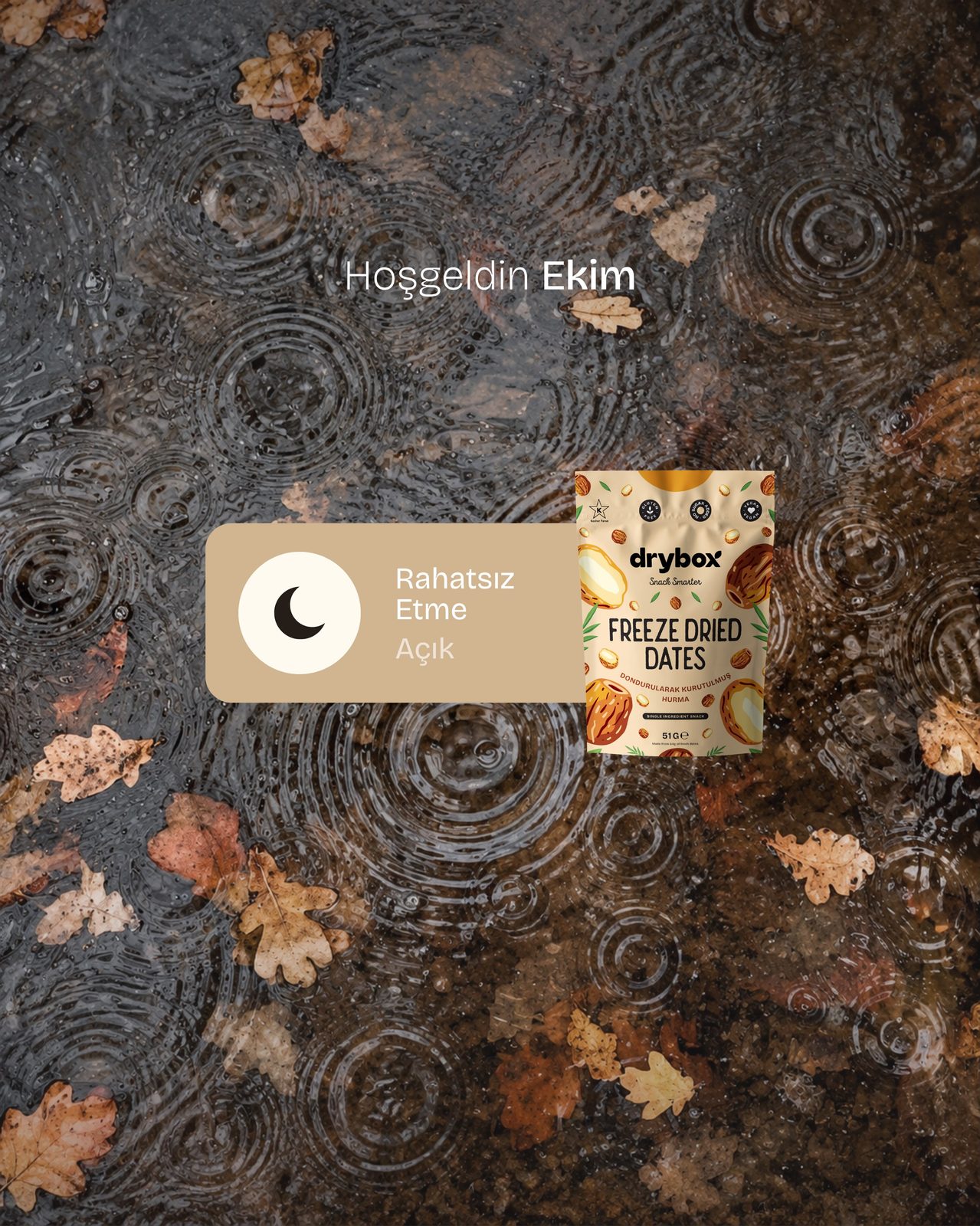 Drybox, art directed visual