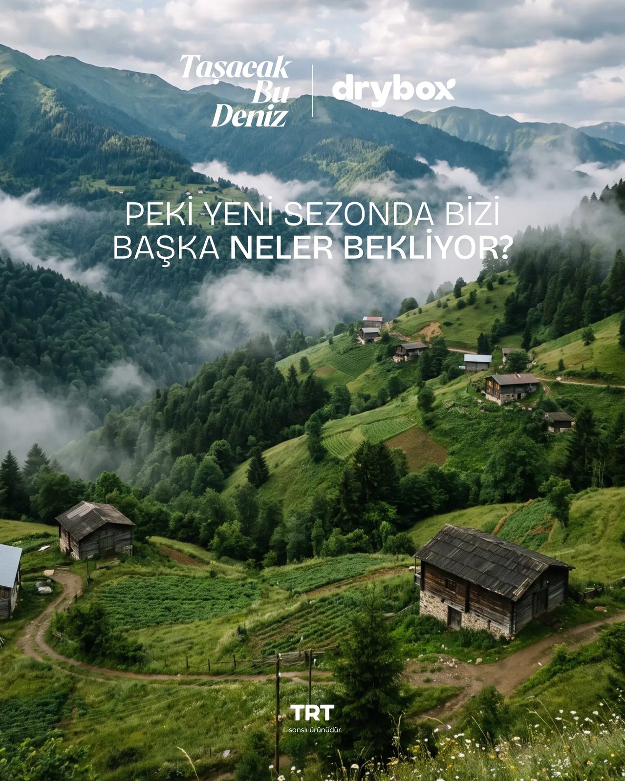 Drybox, food & drink visual 4
