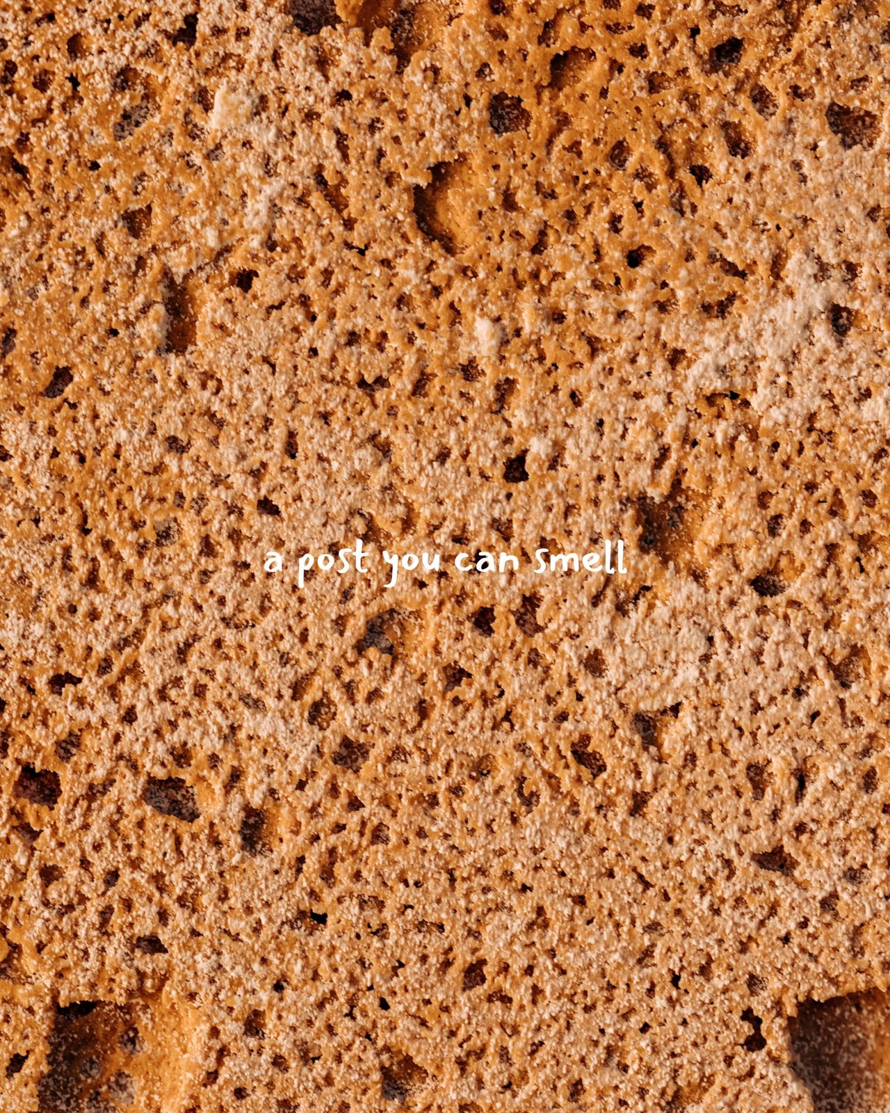 Flân Bakery & Coffee, food & drink visual 4