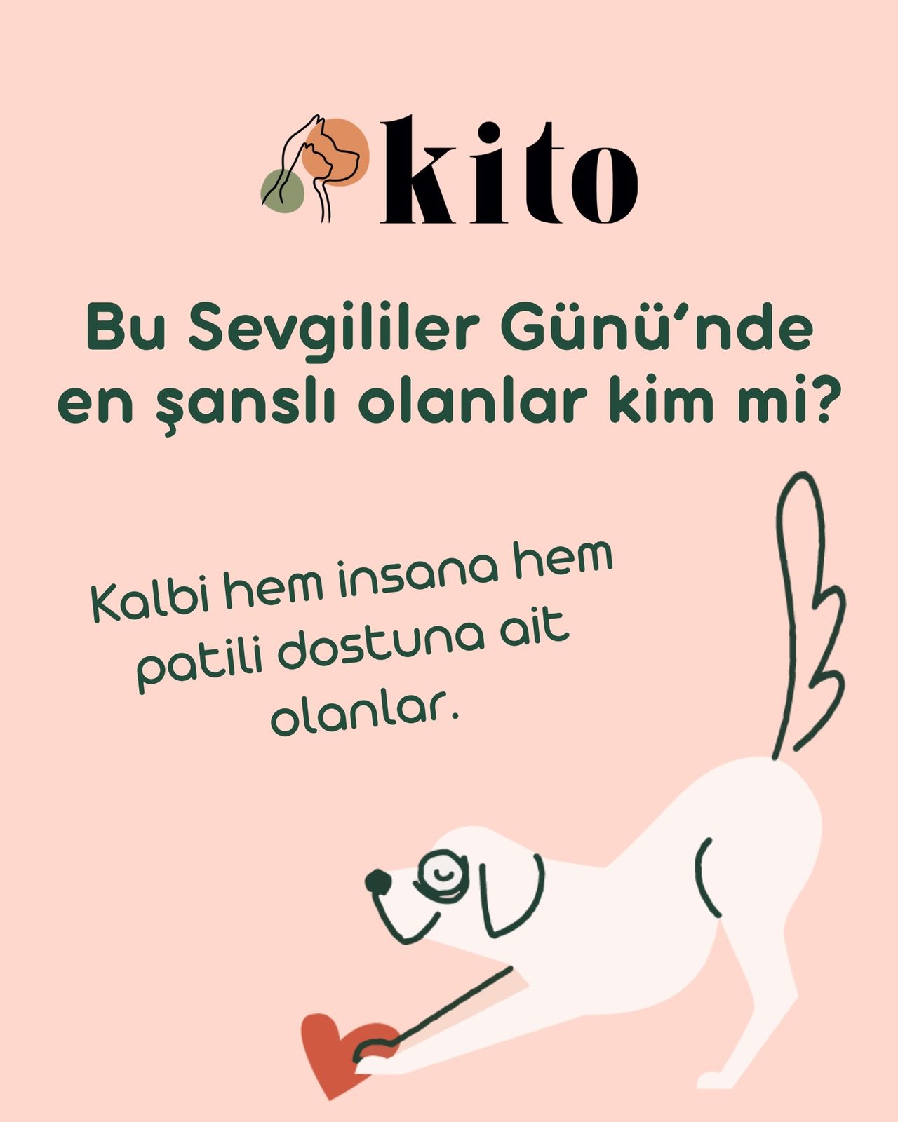 Kito, art directed visual