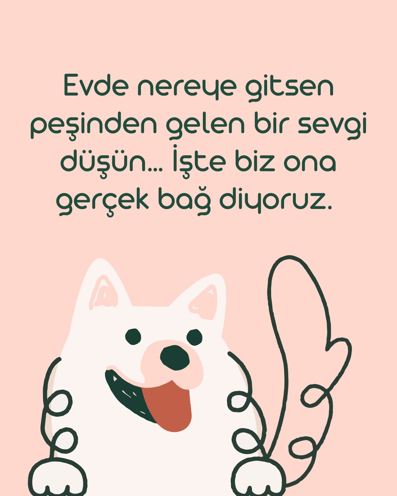 Kito, art directed visual 3
