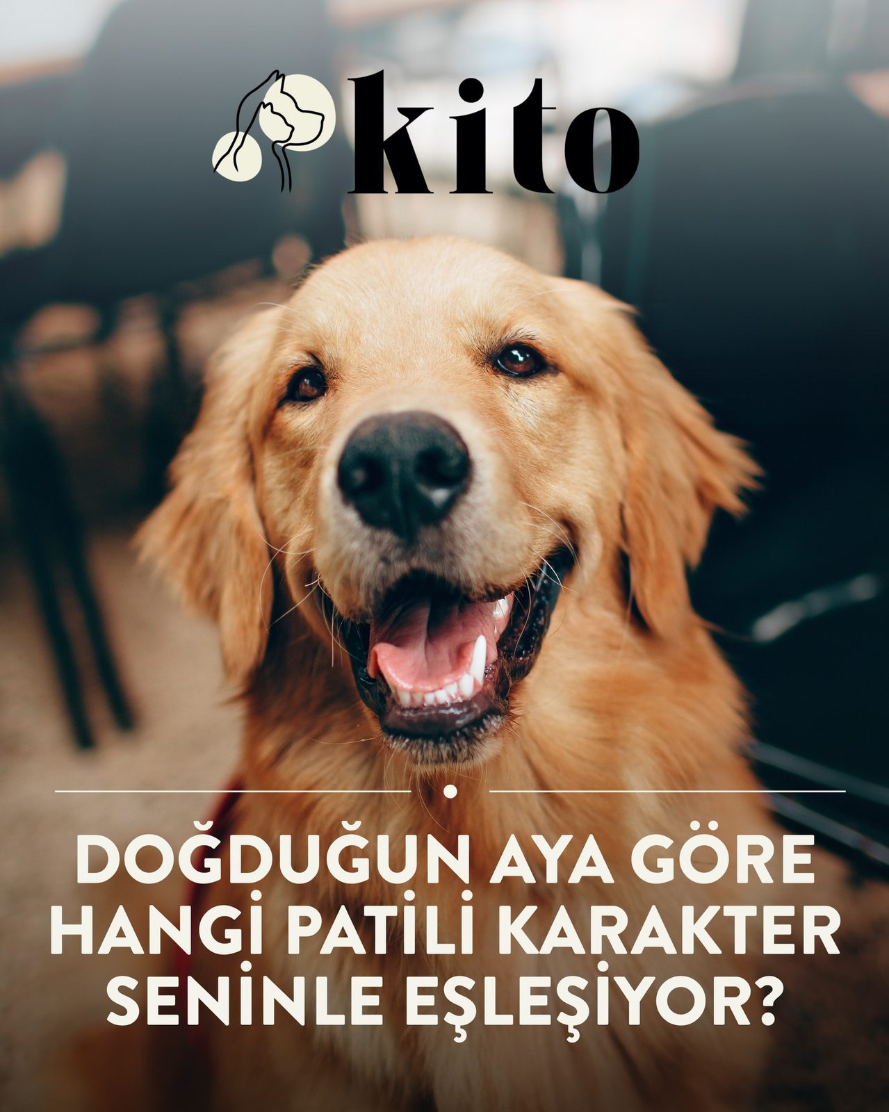 Kito, fashion & retail visual by Studio 56