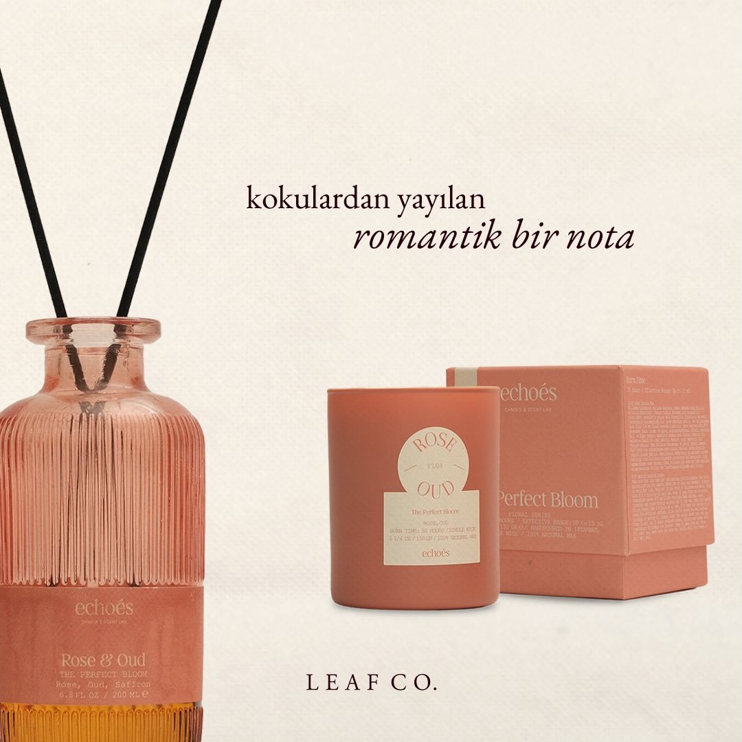 Leaf Co., art directed visual 2