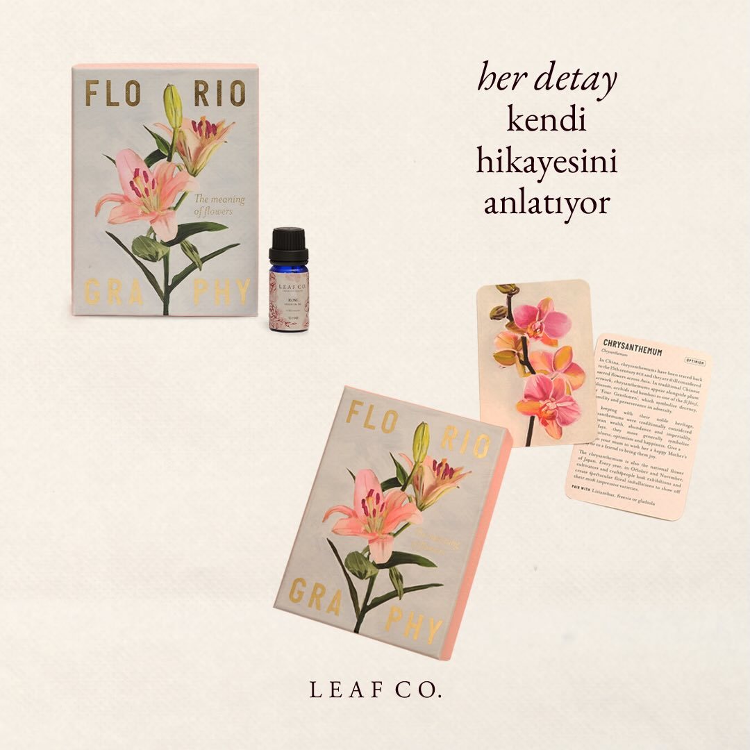 Leaf Co., art directed visual 3