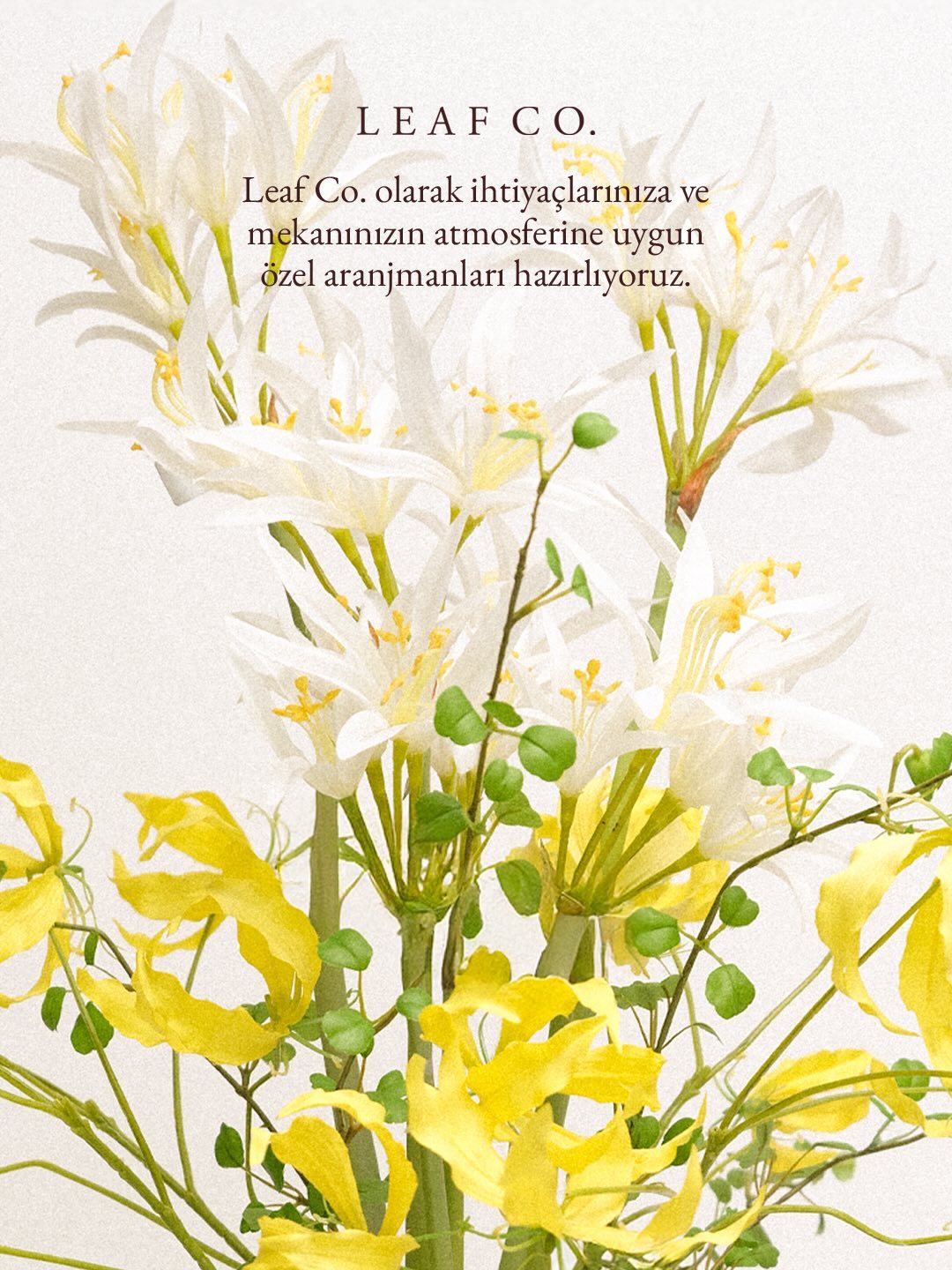 Leaf Co., food & drink visual 2