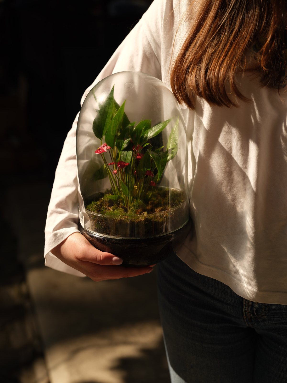 Leaf Co., food & drink visual by Studio 56