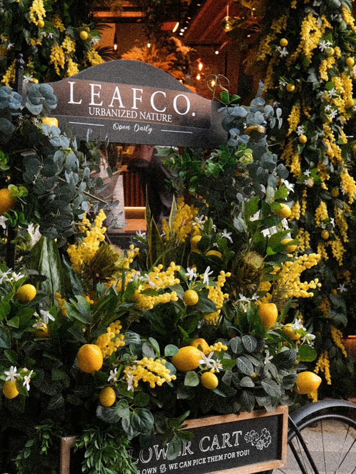 Leaf Co., food & drink visual 2