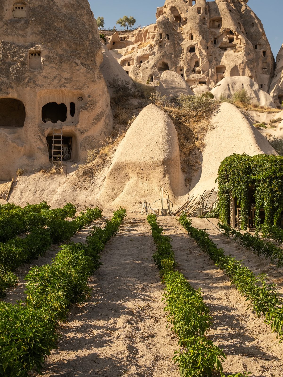Nahita Cappadocia, art directed visual
