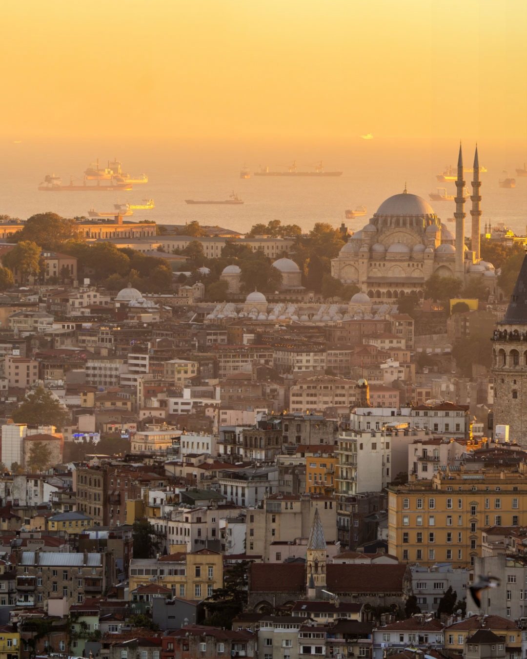 Okra İstanbul, art directed visual 2