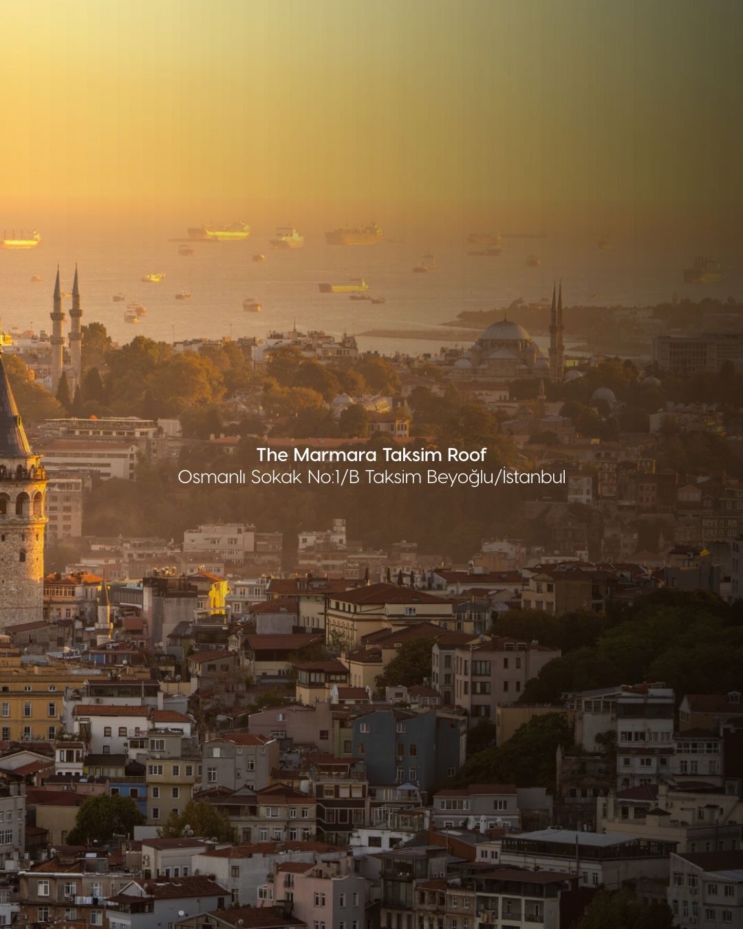 Okra İstanbul, art directed visual 3