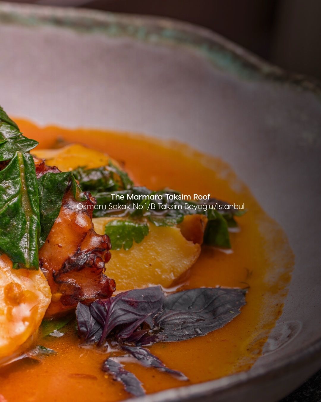 Okra İstanbul, art directed visual 3