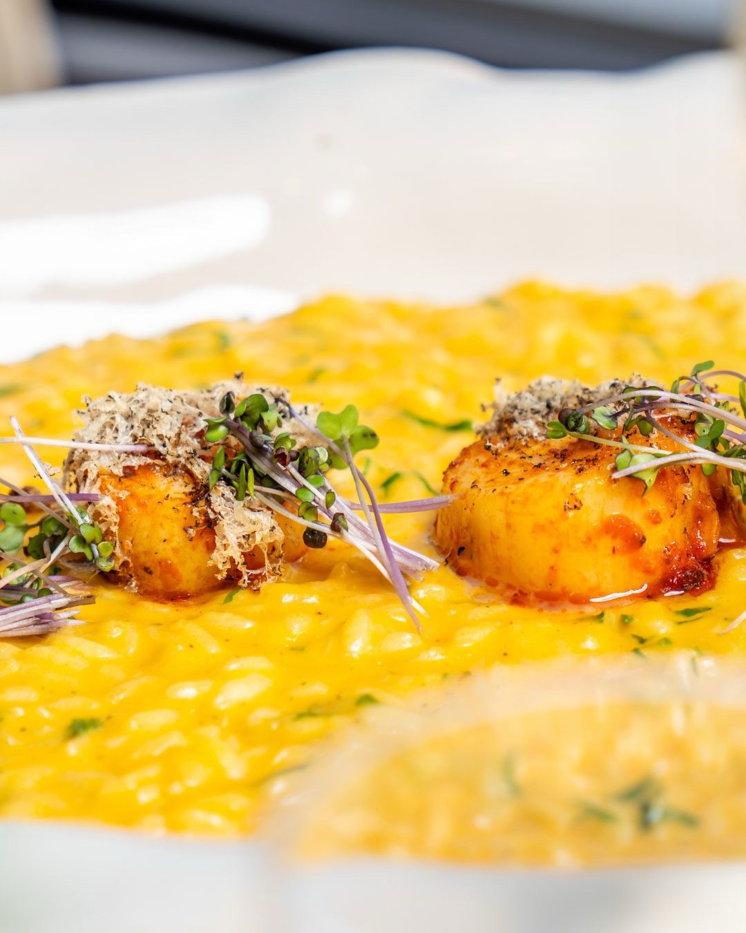 Okra İstanbul, food & drink visual 3