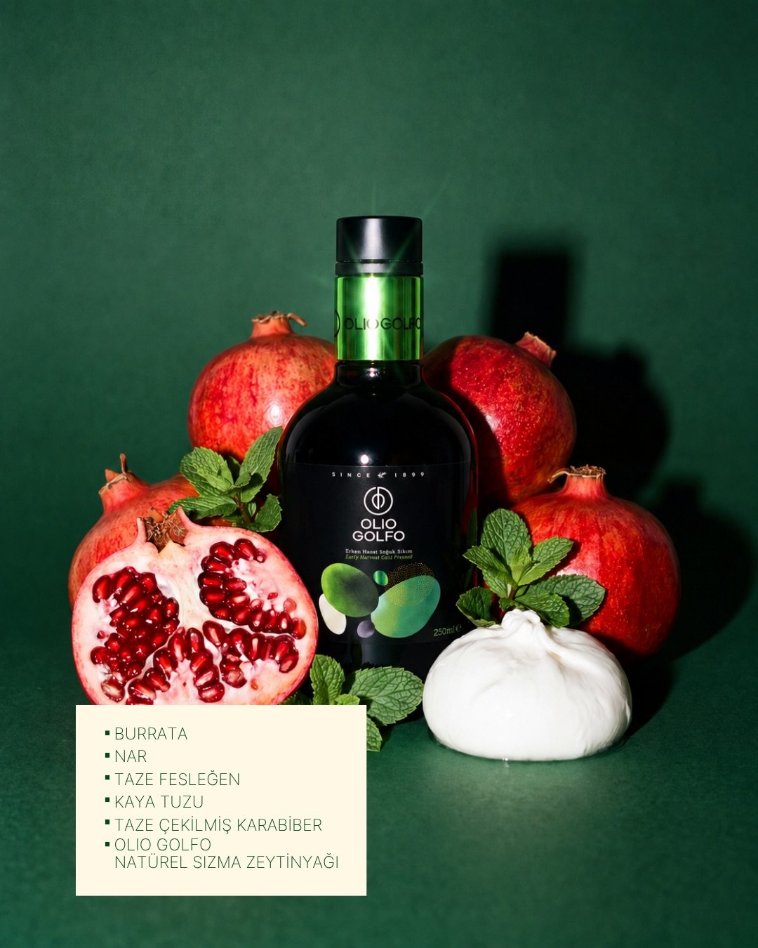 Olio Golfo, art directed visual 2