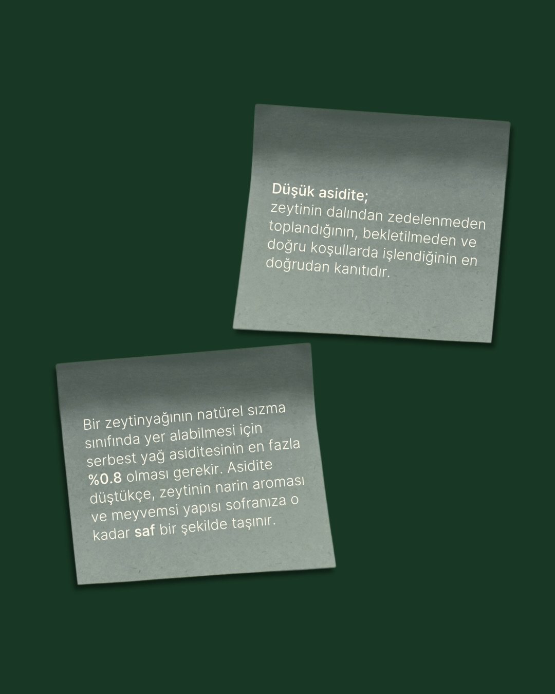 Olio Golfo, food & drink visual 3