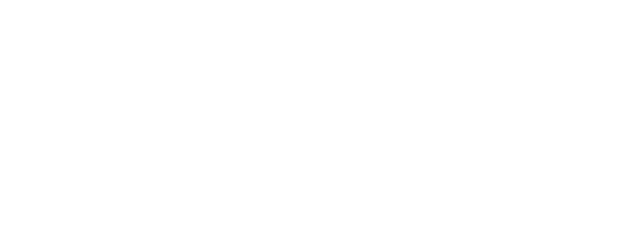 TAV Passport logo