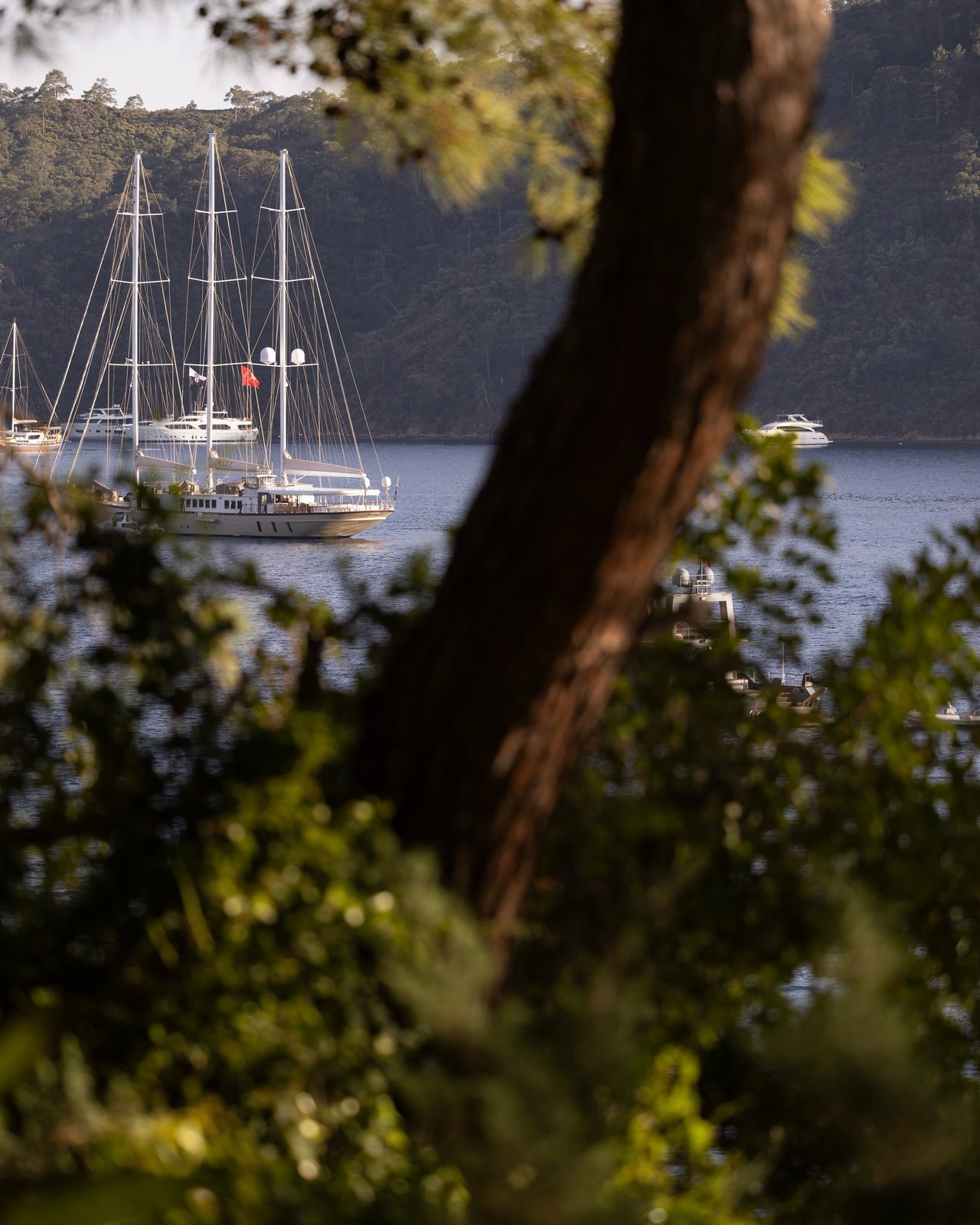 Q Lounge Göcek, food & drink visual 3