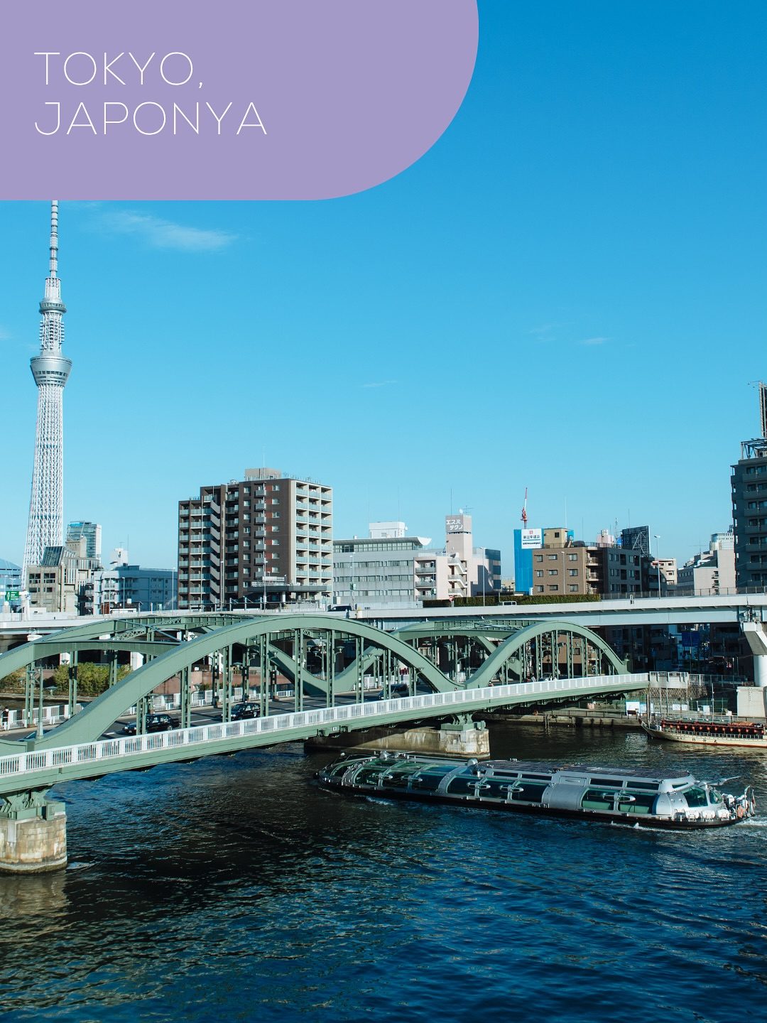 TAV Passport, travel visual 3