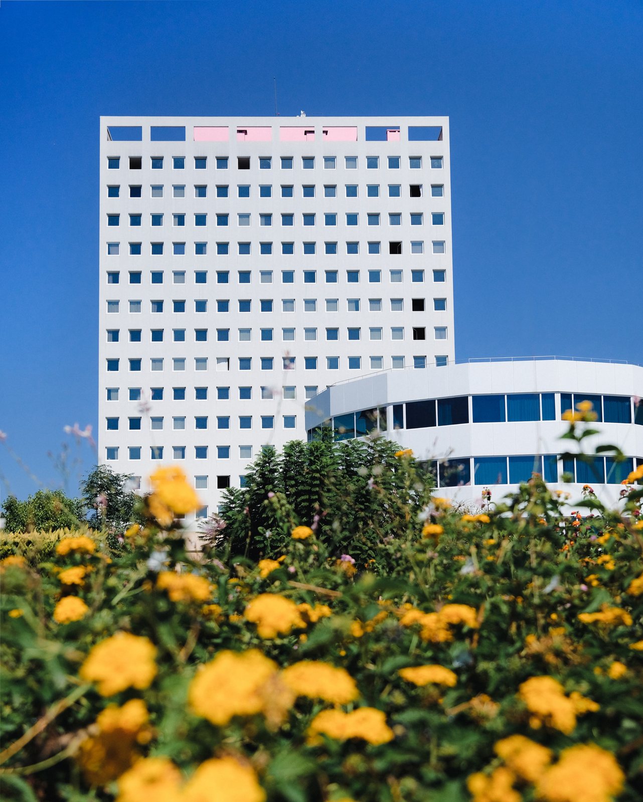 The Marmara Antalya, art directed visual