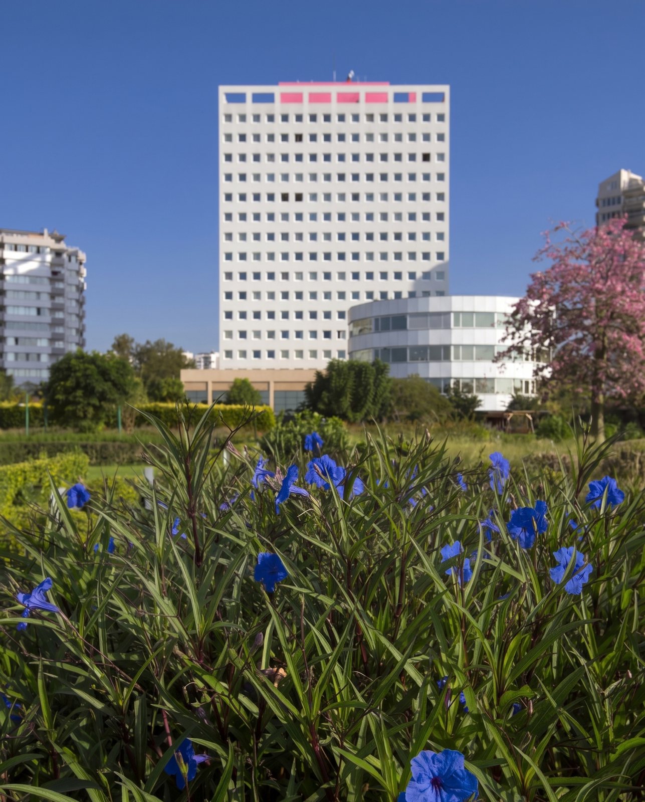 The Marmara Antalya, hospitality visual by Studio 56