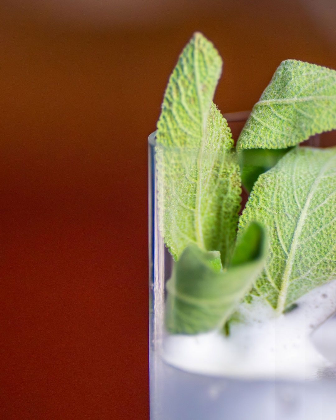 Upperist, food & drink visual 3