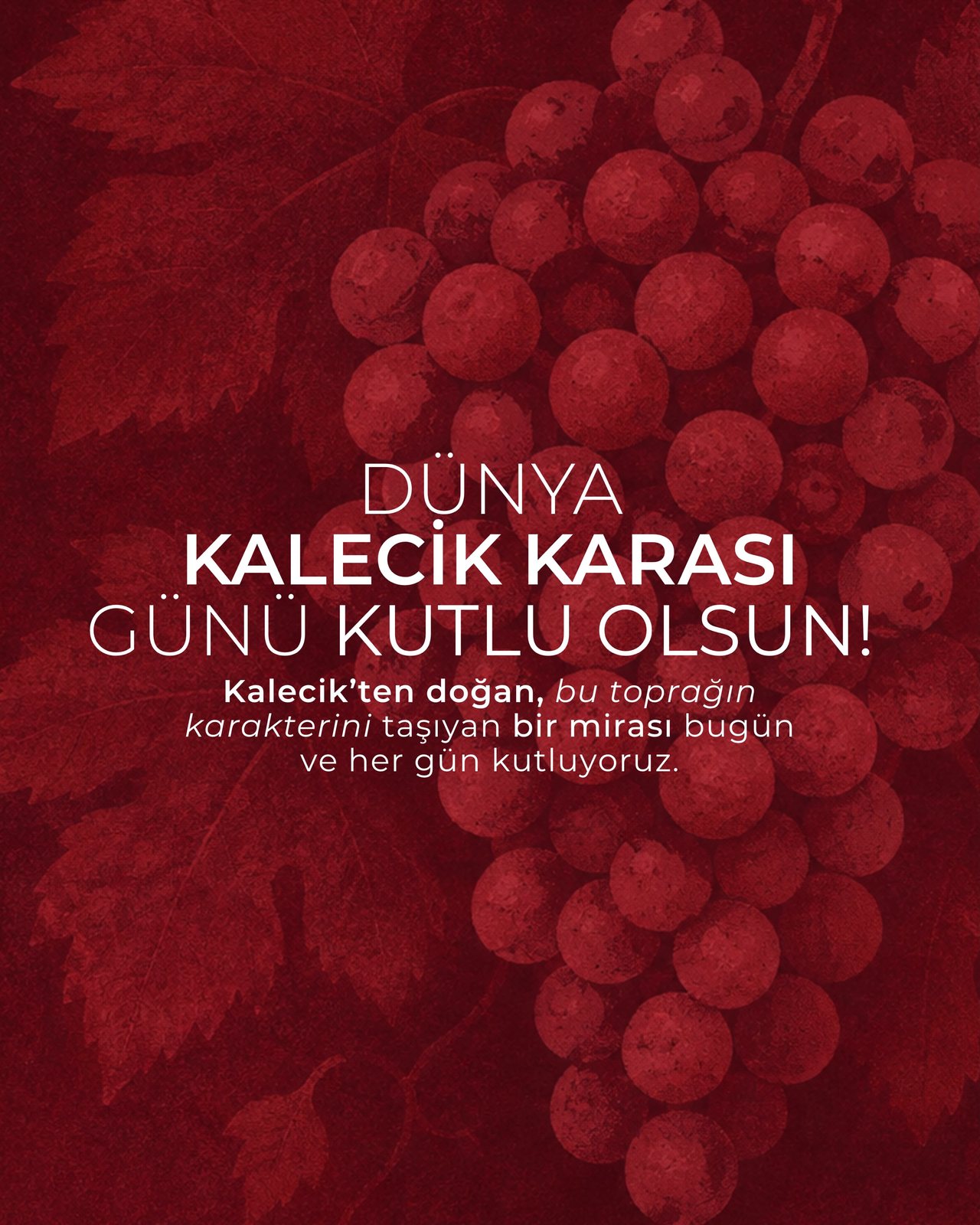Vinkara, food & drink visual by Studio 56