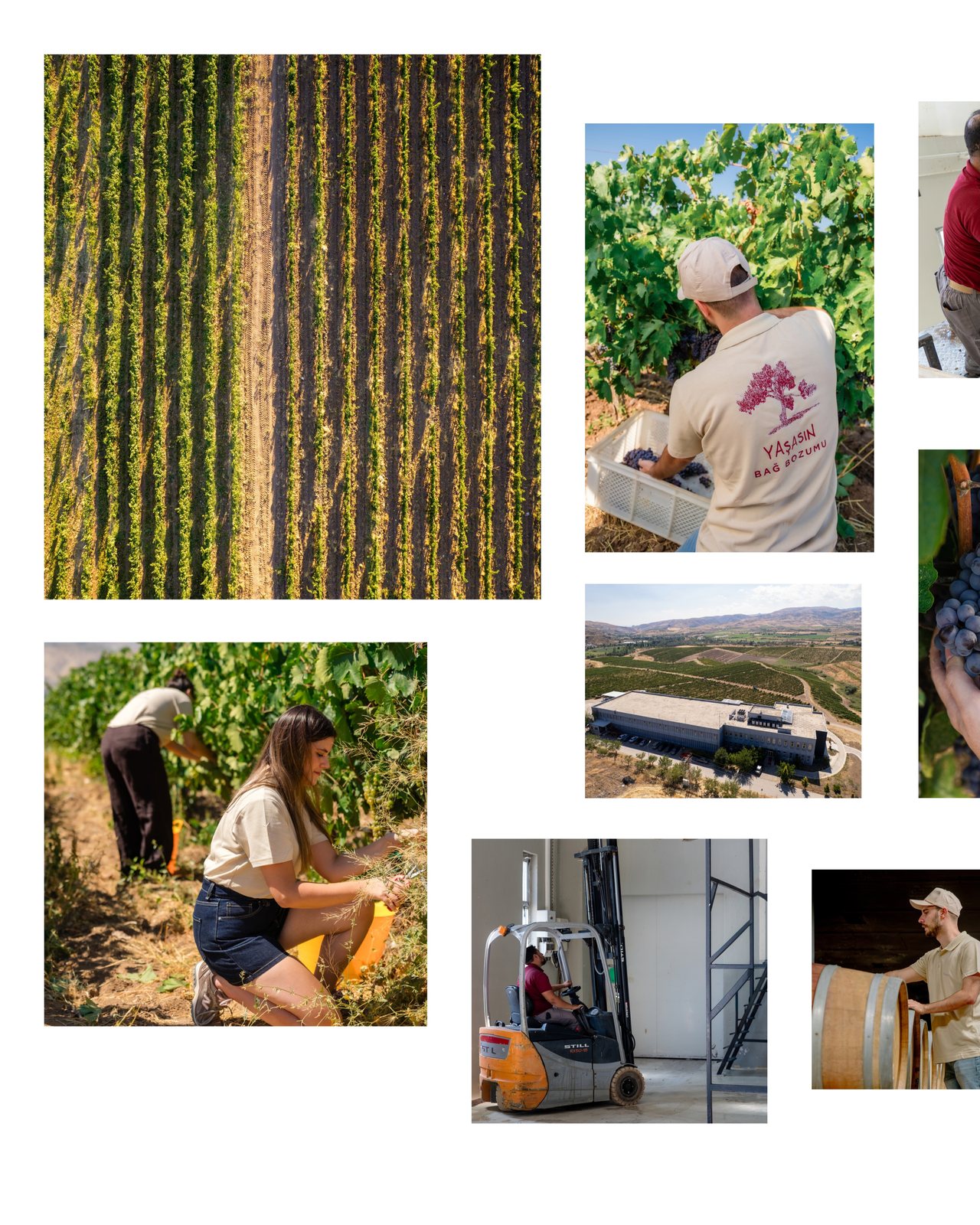 Vinkara, food & drink visual 2
