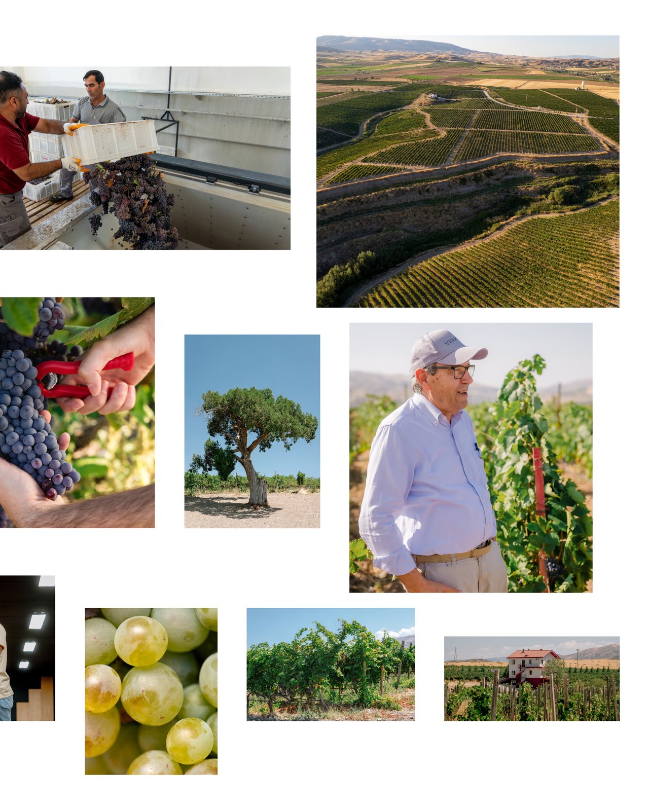 Vinkara, food & drink visual 3