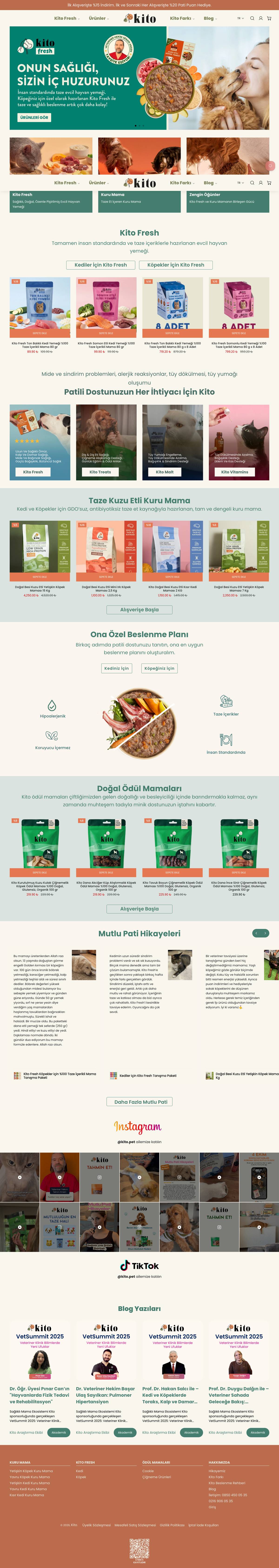 Kito website, full page