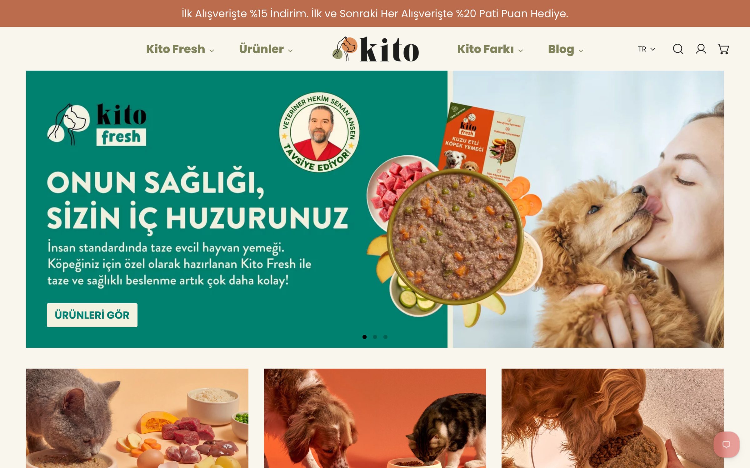 Kito website, desktop