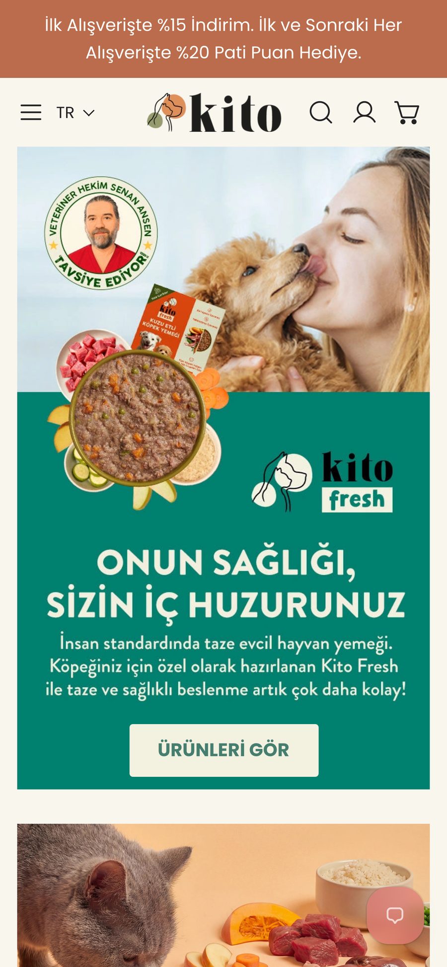 Kito website, mobile
