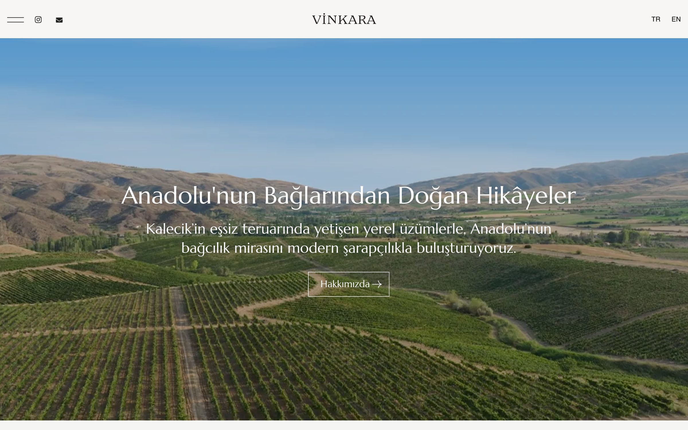Vinkara website, desktop