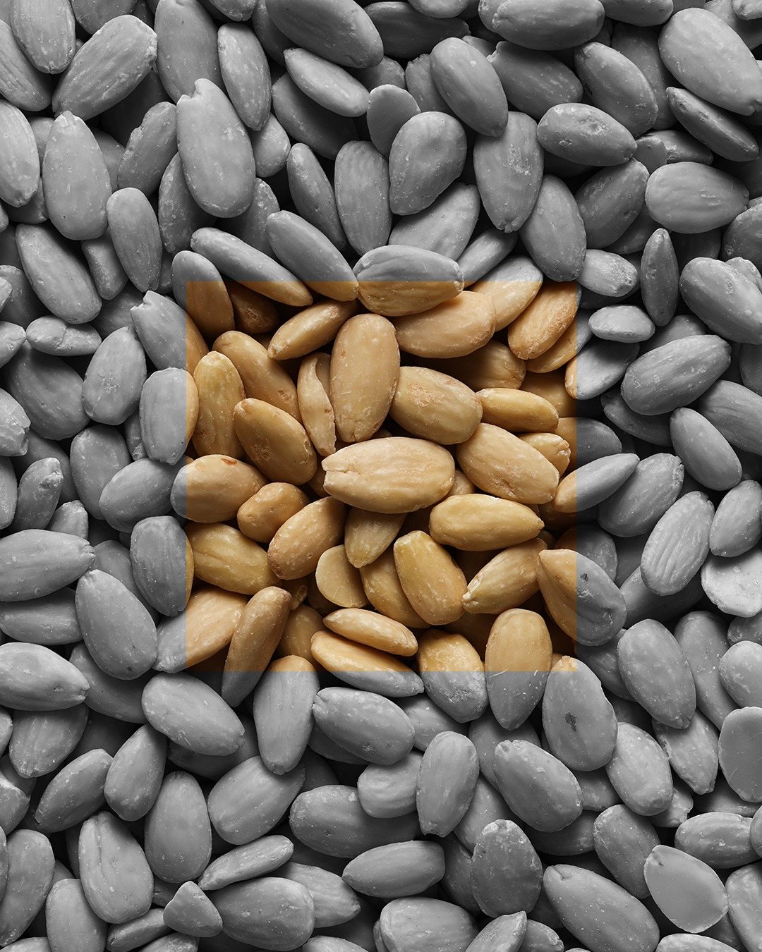 White Pepper, art directed visual