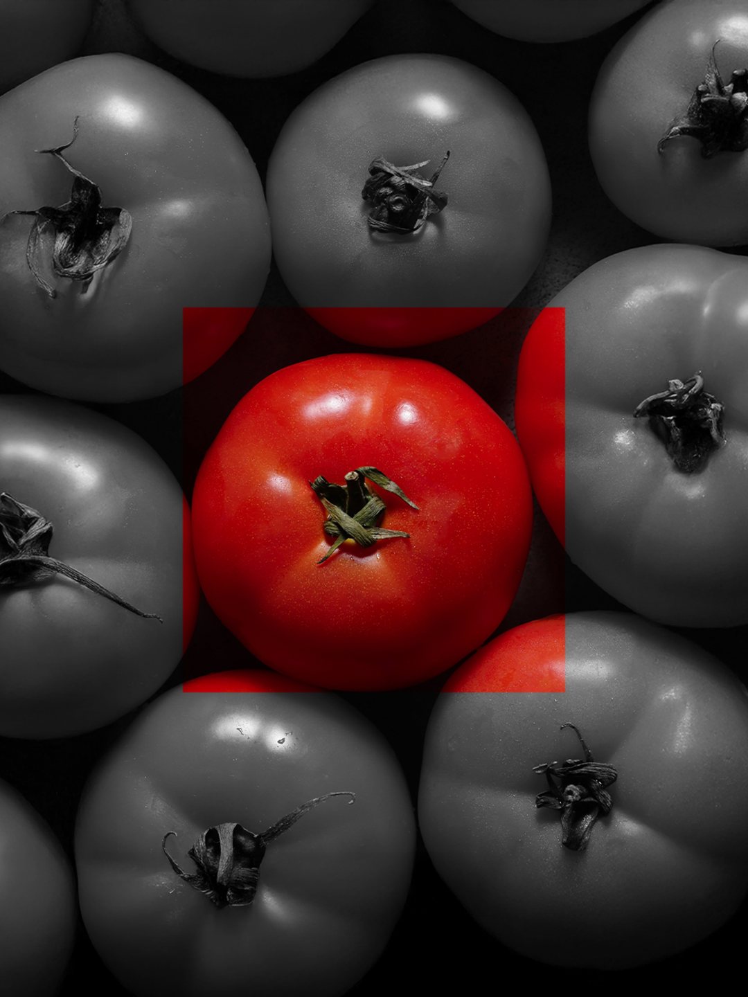 White Pepper, art directed visual