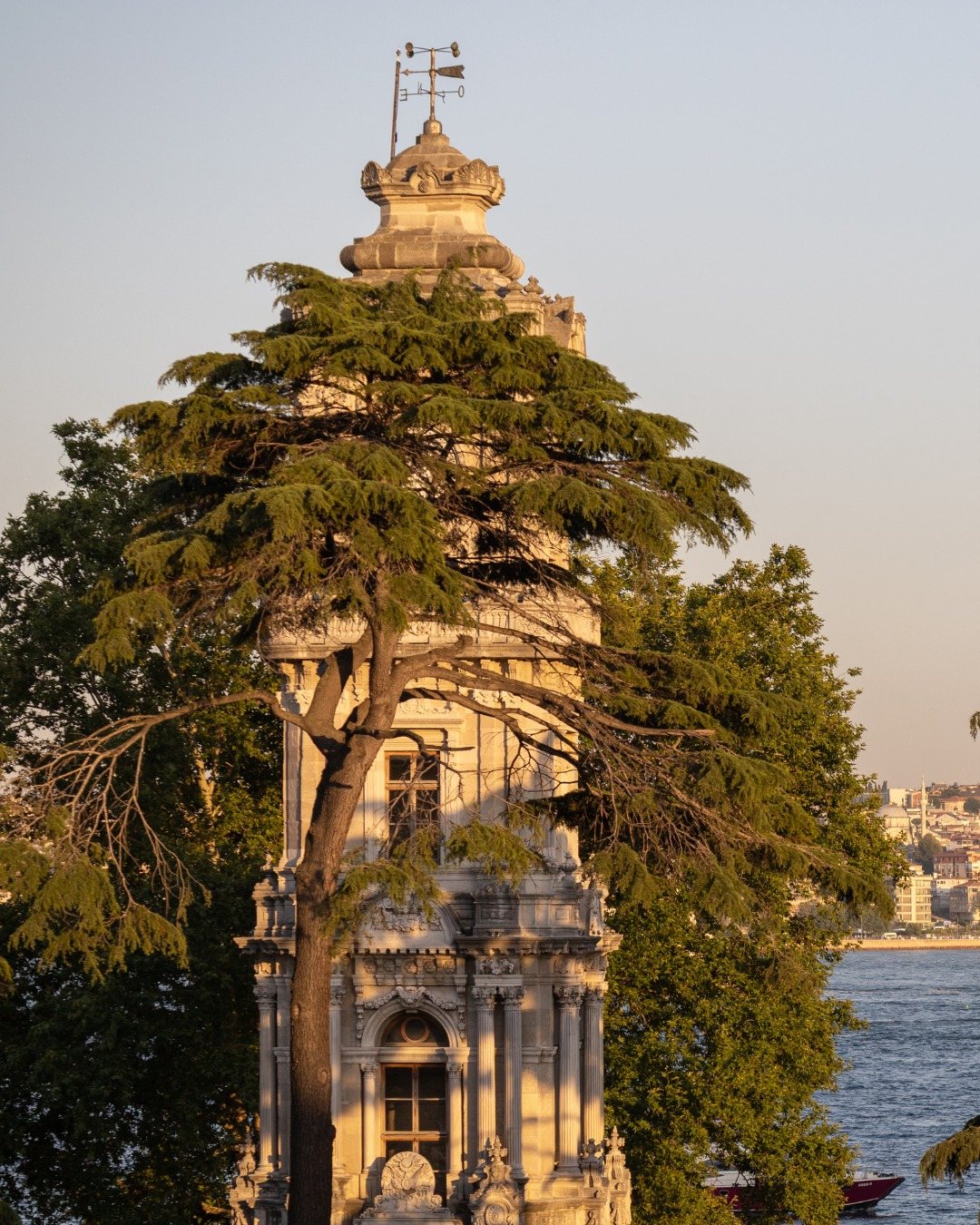 White Pepper, food & drink visual by Studio 56