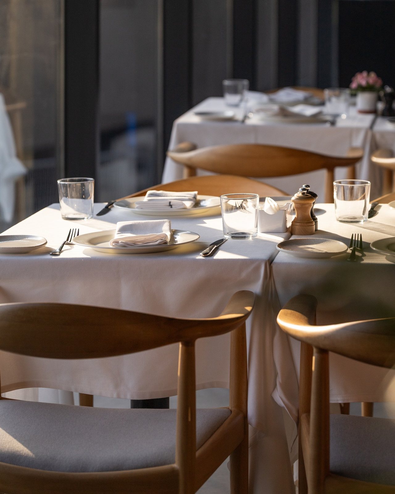White Pepper, food & drink visual by Studio 56